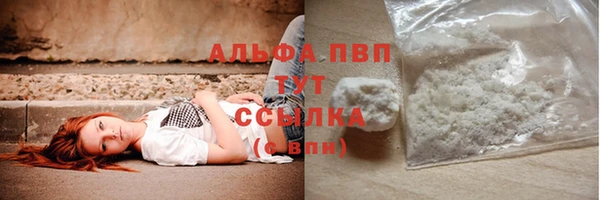 стаф Абаза