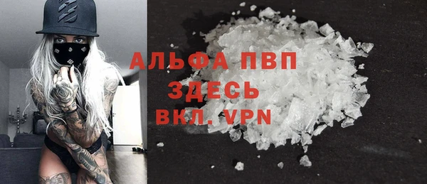 стаф Абаза
